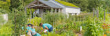 A group of young campers in bright blue shirts digs in a garden bed to plant vegetables. They are surrounded by bright green plants and orange flowers.