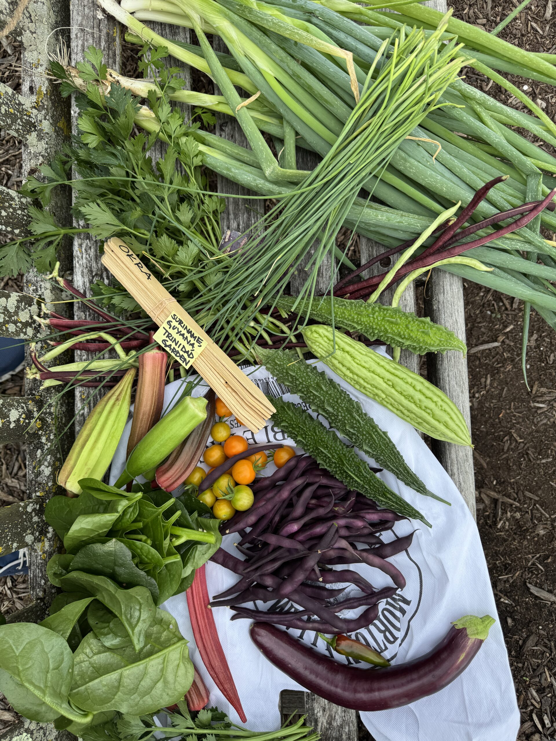 An abundant spread of freshly picked vegetables, including okra, bitter melon, purple beans, scallions, spinach, and cherry tomatoes, arranged on a wooden bench. A garden marker labeled “Suriname, Trinidad, Guyana” rests atop the colorful vegetables, celebrating Caribbean heritage.