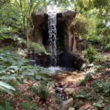 A small waterfall cascades through a tree stump onto the forest floor