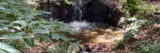 A small waterfall cascades onto a forest floor