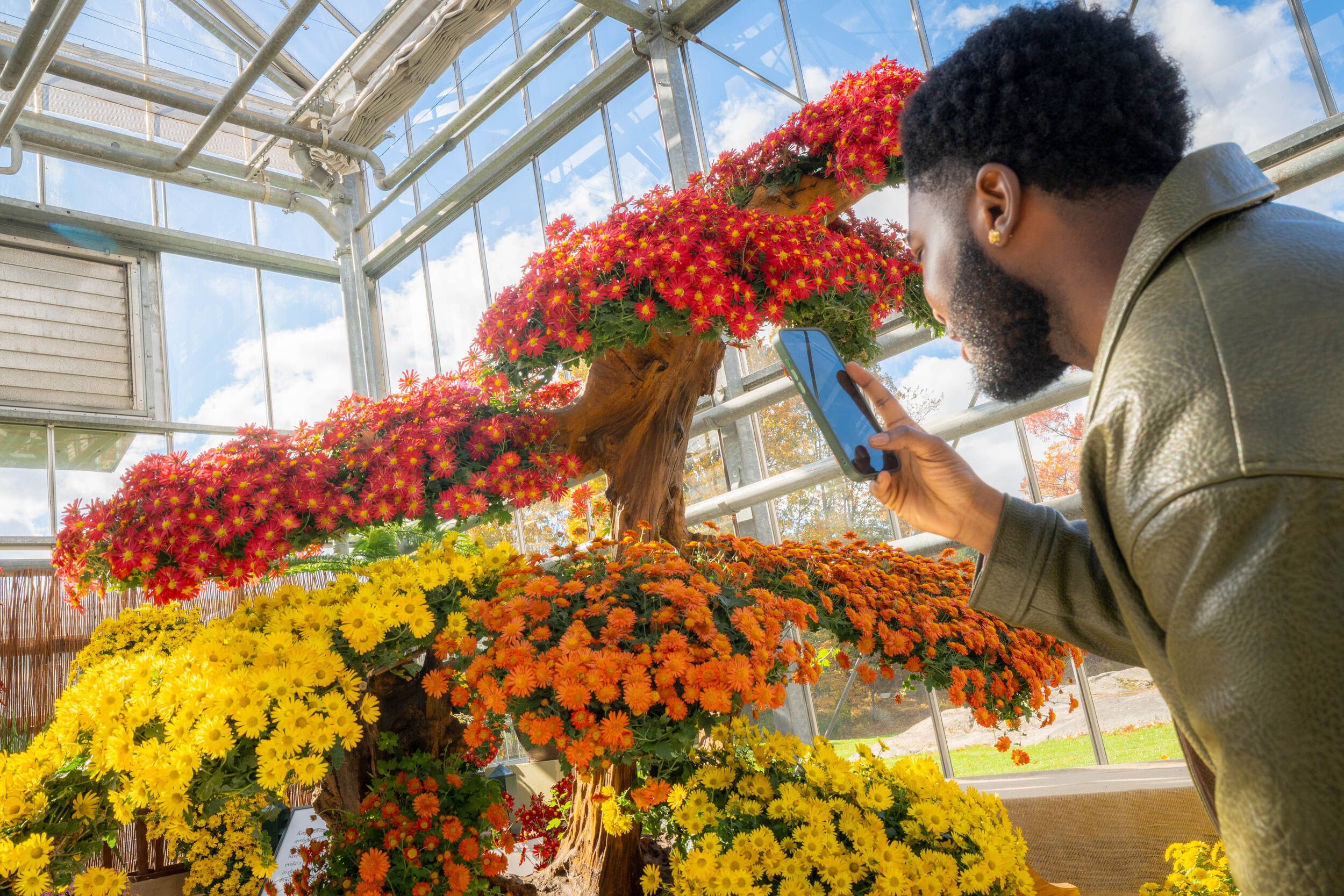 A person in a beige sweater uses a smartphone to photograph a sunny display of red, yellow, and orange flowers
