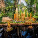 nyc skyline 2025 mco dsc09009 copy