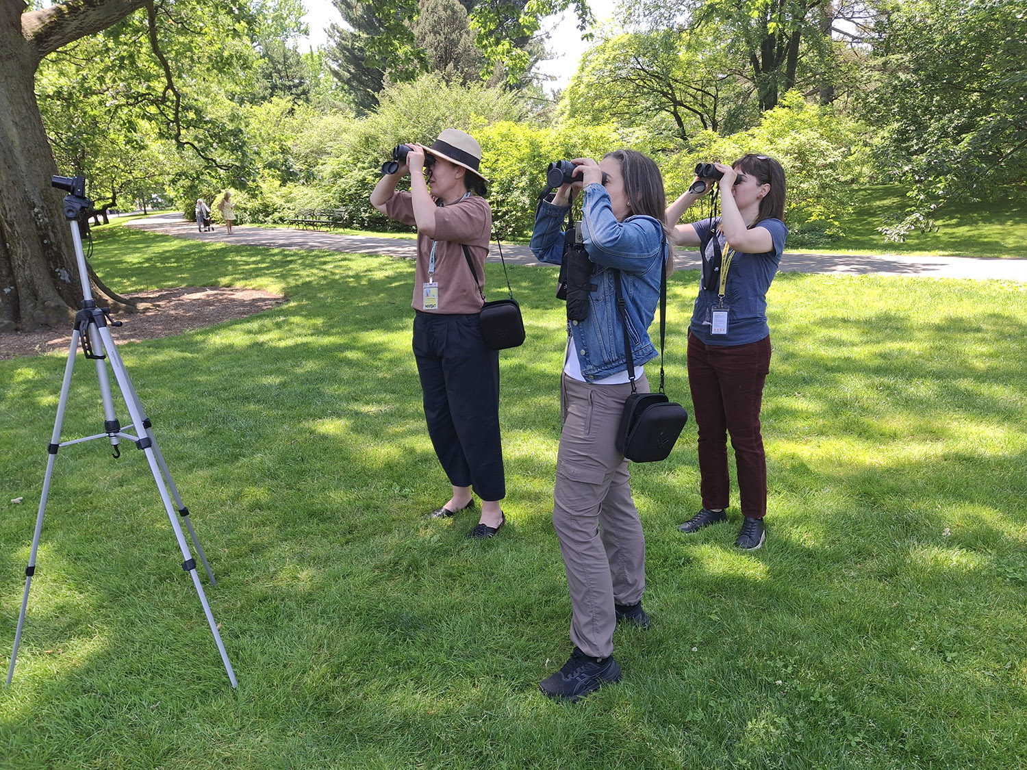 Three people use binoculars to watch a bird's nest outside on a sunny day