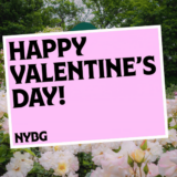 happyvalentines26 1.1