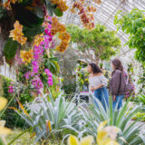 Two people explore a conservatory full of flowers