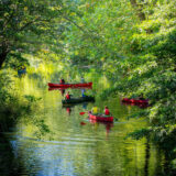 People paddle along a river in green and red canoes