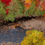 An aerial view of a river winding through a forest of orange, green, and yellow leaves