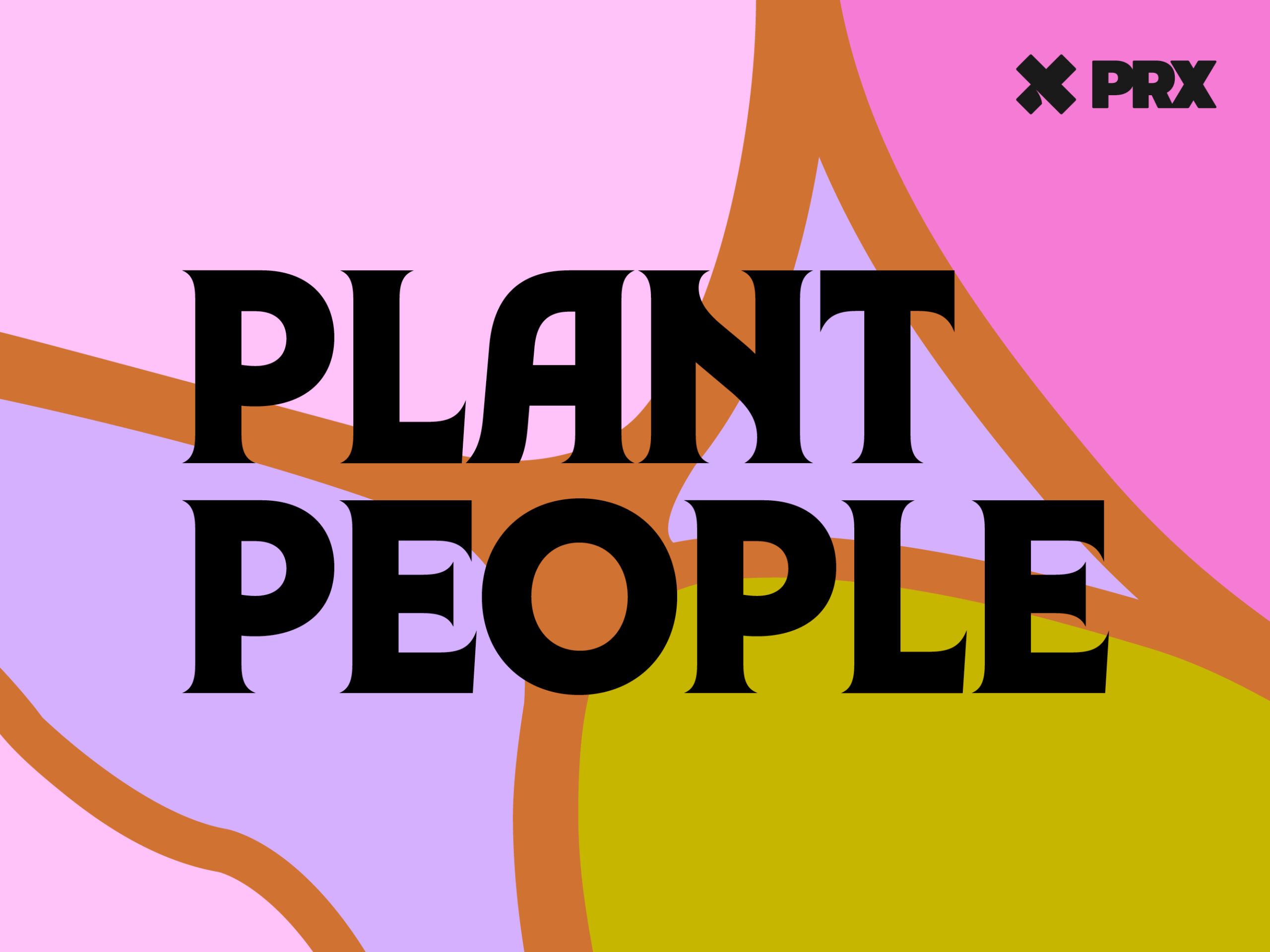 A map-like graphic in green, purple, and pink