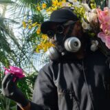 Mr. Flower Fantastic holding orchids in NYBG's Enid A. Haupt Conservatory