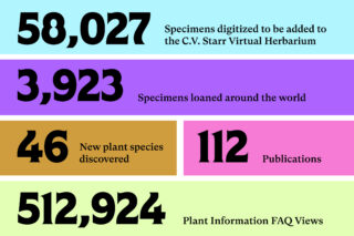 science year end infographic 2025 2