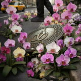 tos 2026 key art vertical flat v2 1.1 A graphic depicting pink and white flowers surrounding a manhole cover, with a person in black clothing walking past in the background