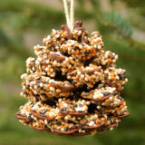 A brown pine cone covered in bird seed