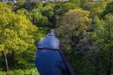 An aerial view of a sunny green forest with a water feature cutting through the middle