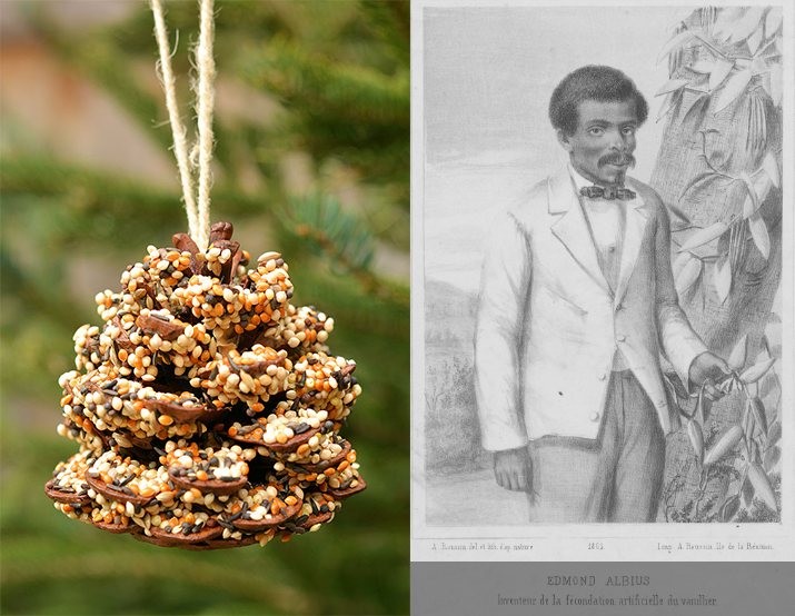 A brown bird feeder on a string juxtaposed with a black and white illustration of a person working with flowers