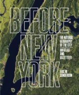 A green and blue book cover that reads "Before New York"