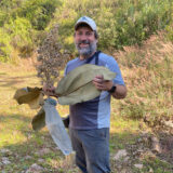 A person in a blue shirt and hat holds up a large leaf on a sunny day outdoors