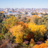 A forest of yellow-leaved fall trees, behind which can be seen a cityscape