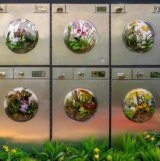 Laundromat installation at The Orchid Show: Mr. Flower Fantastic's Concrete Jungle mco dsc02321b