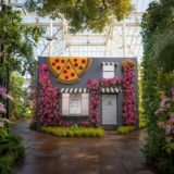 Pizza shop installation at The Orchid Show: Mr. Flower Fantastic's Concrete Jungle mco dsc02385 mco dsc02385 web