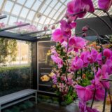 Bus Stop installation at The Orchid Show: Mr. Flower Fantastic's Concrete Jungle mco dsc02444 web