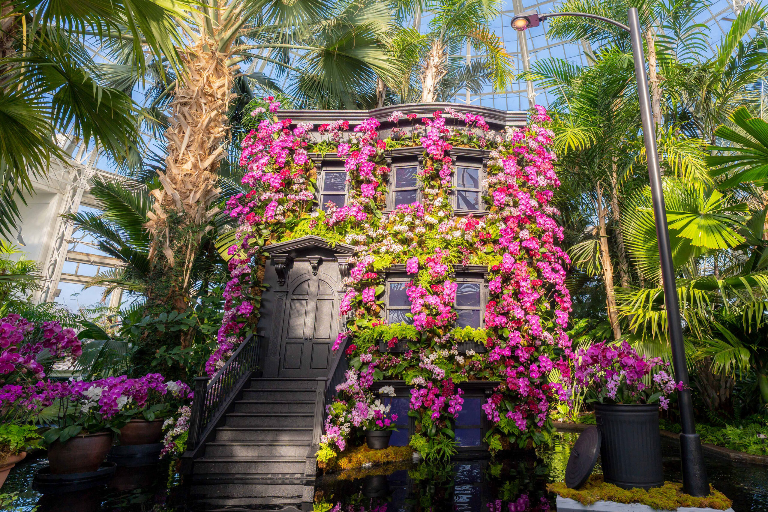 mco dsc02467 3000x2000