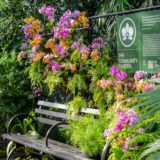 Garden Bench installation at The Orchid Show: Mr. Flower Fantastic's Concrete Jungle mco dsc02609 web