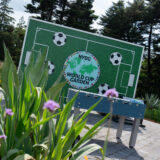 A soccer-themed wall with a foosball table and green plants