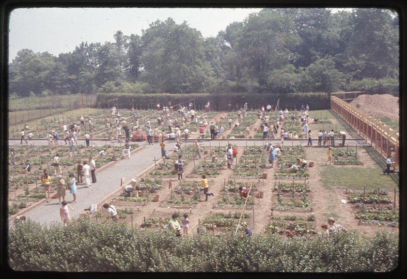 A high view of a children's garden full of kids, preserved on an antique film photo