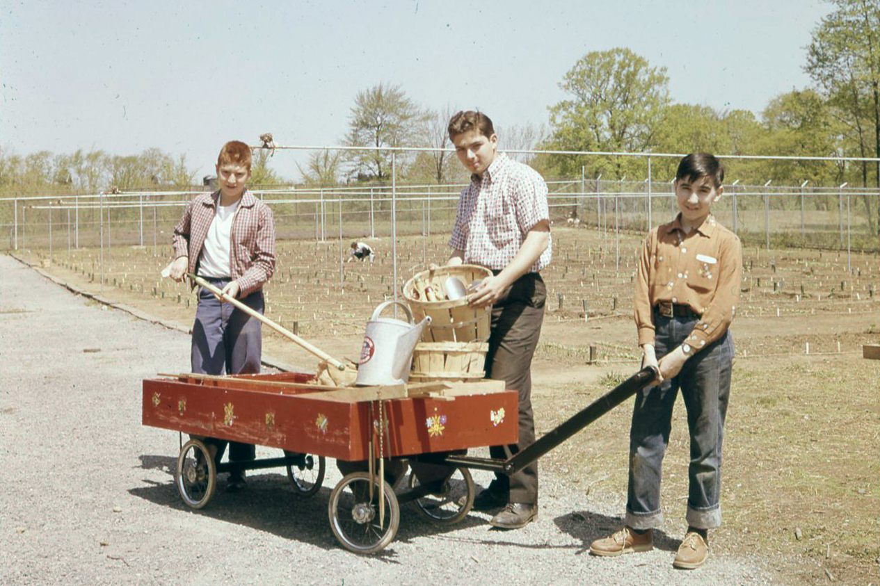 Three teenagers pull a red wagon of garden tools in an antique photo