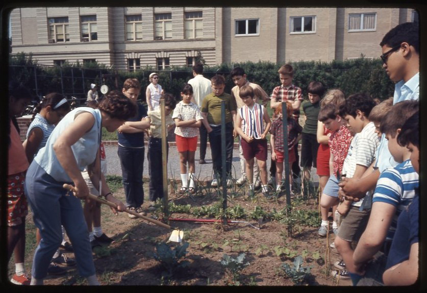 A person in a white shirt with short dark hair teaches a group of children how to shovel in the garden