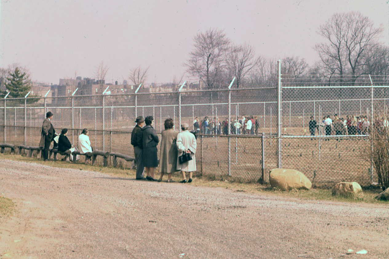 Adults look on as children work and learn in a nearby vegetable garden