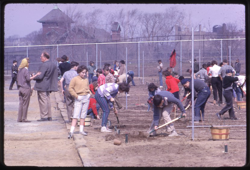 A large group of children and adults work together in a garden space