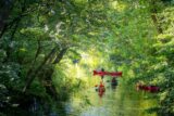 People in colorful life jackets sit in red canoes on the Bronx River during the summer.