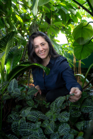 mco dsc09918 updated