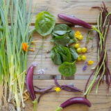 A collection of green and purple and yellow vegetables