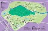 An overhead map of a garden in purple and green