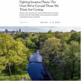 nyt invasives