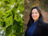 A side-by-side picture of a woman with dark hair in a blue shirt and black blazer, next to an image of green leaves.