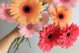 A person holds up a number of pink, orange, and red flowers