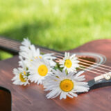 A bouquet of white flowers atop an acoustic guitar