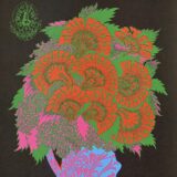 Image courtesy of Poster House [Blue Cheer/Lee Michaels/North American Music Band, 1967, Victor Moscoso (Spanish, born 1936)]