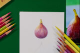 an illustration of a fig on white paper surrounded by colored pencils on a green table