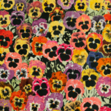 joebrainard pansies web