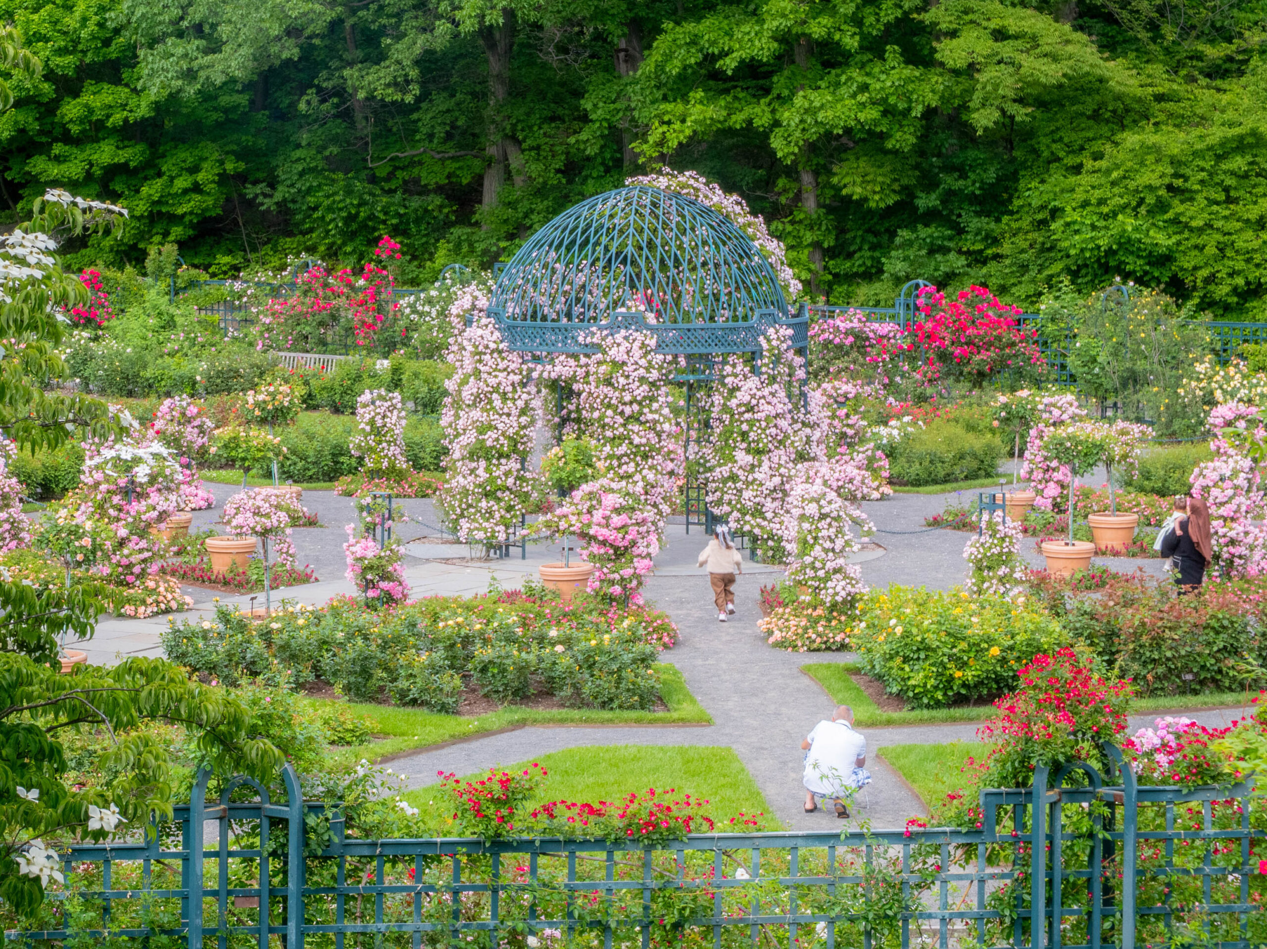 A parent and child explore a garden of blooming pink and red flowers together