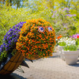 An orange and purple caterpillar sculpture formed from flowers
