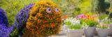 An orange and purple caterpillar sculpture formed from flowers