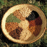 A reed basket full of colorful varieties of beans
