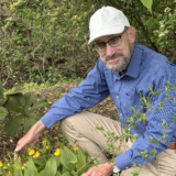 A person wearing a white baseball cap, blue dress shirt, and khaki pants kneels to show yellow flowers on the ground