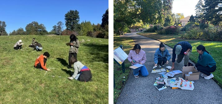 Juxtaposed images of students researching plants and animals in a grassy field and on a winding garden path
