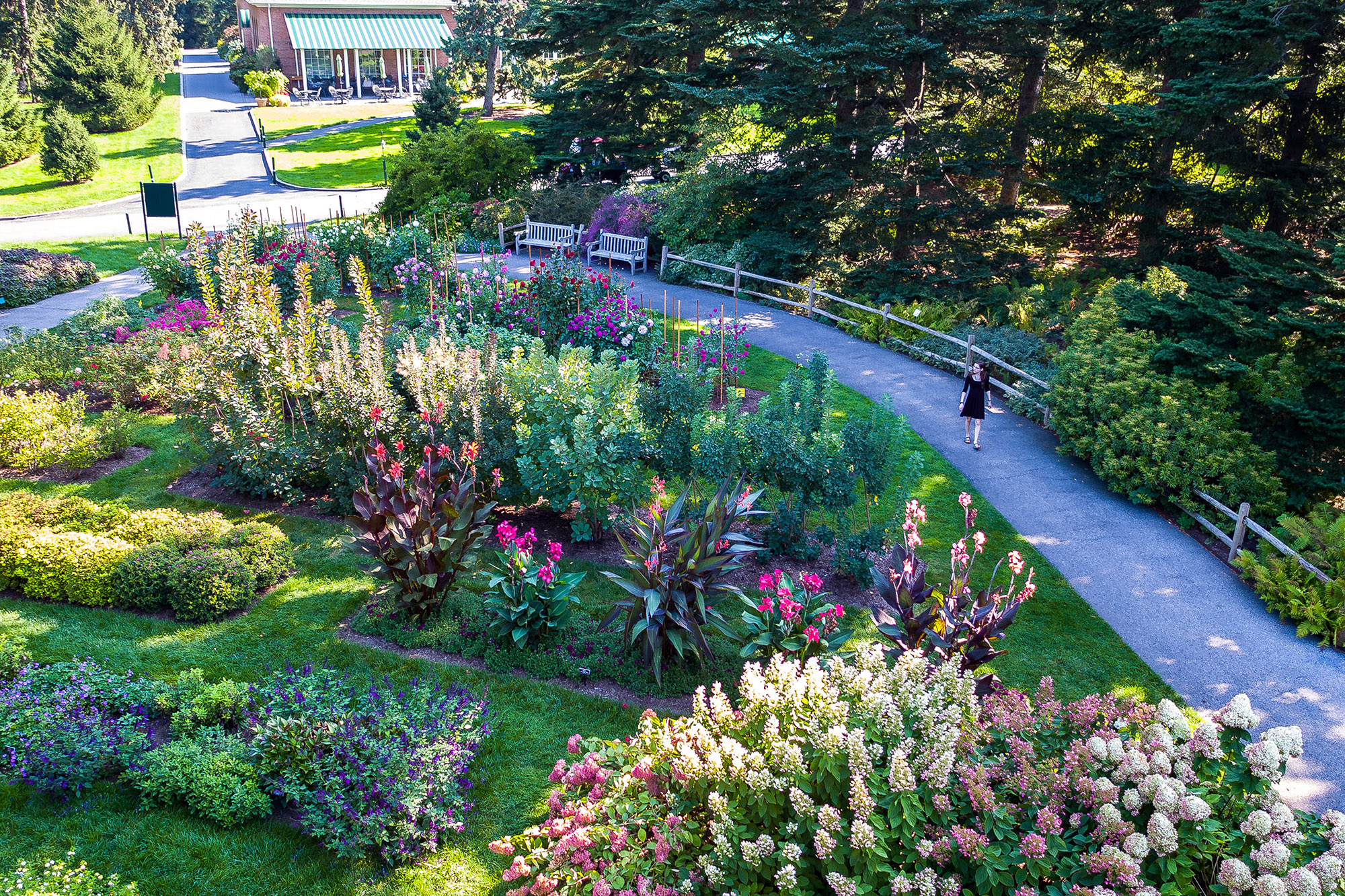 A garden at sunset, full of pink and white flowers